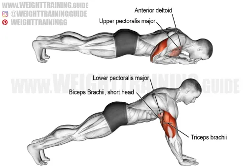 Tips for Effective Tricep Extension Calisthenics